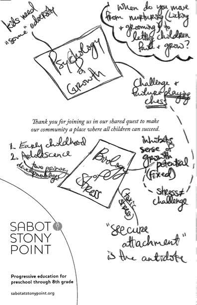 Notes from Paul Tough event